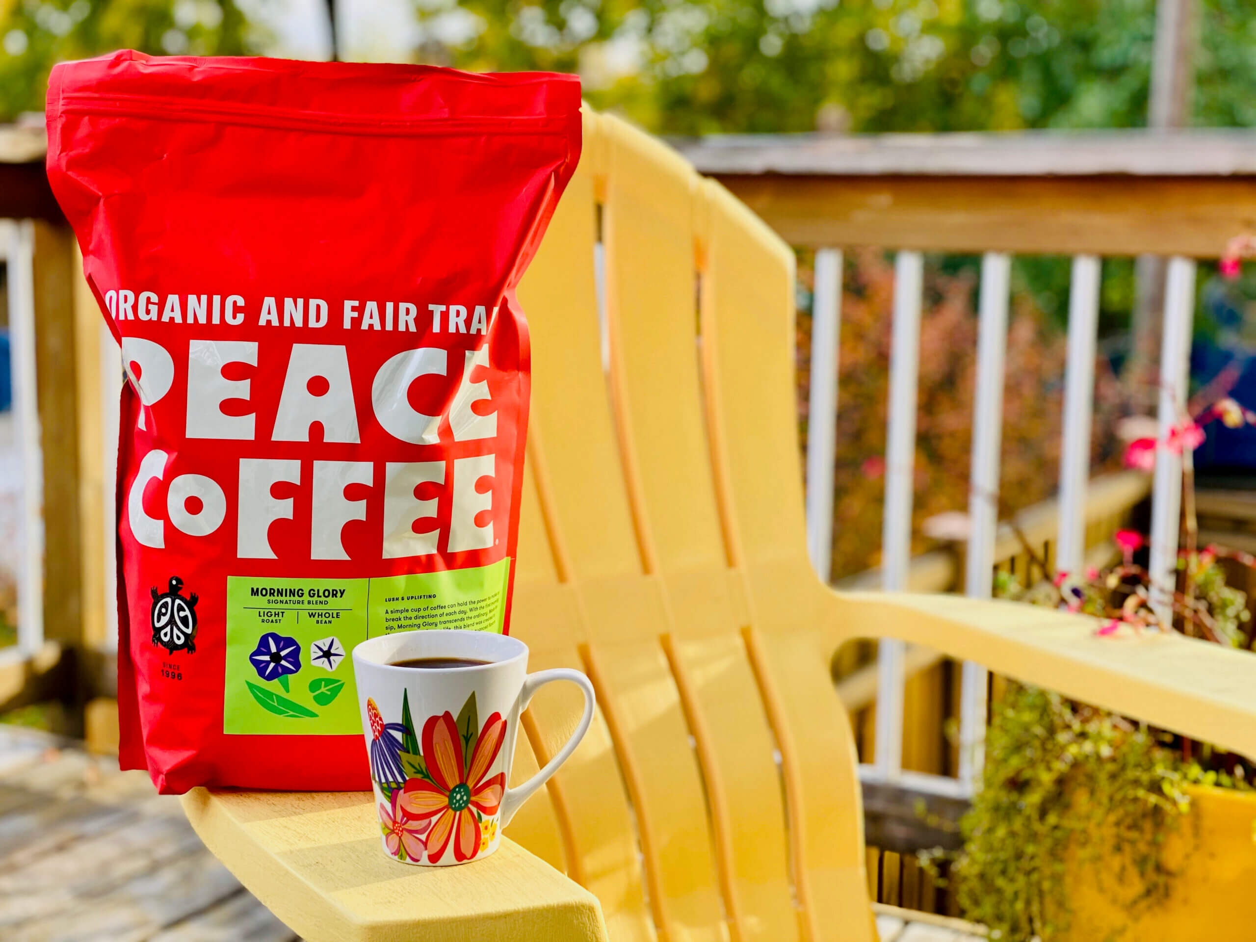 Morning Glory Five Pound Deck Chair